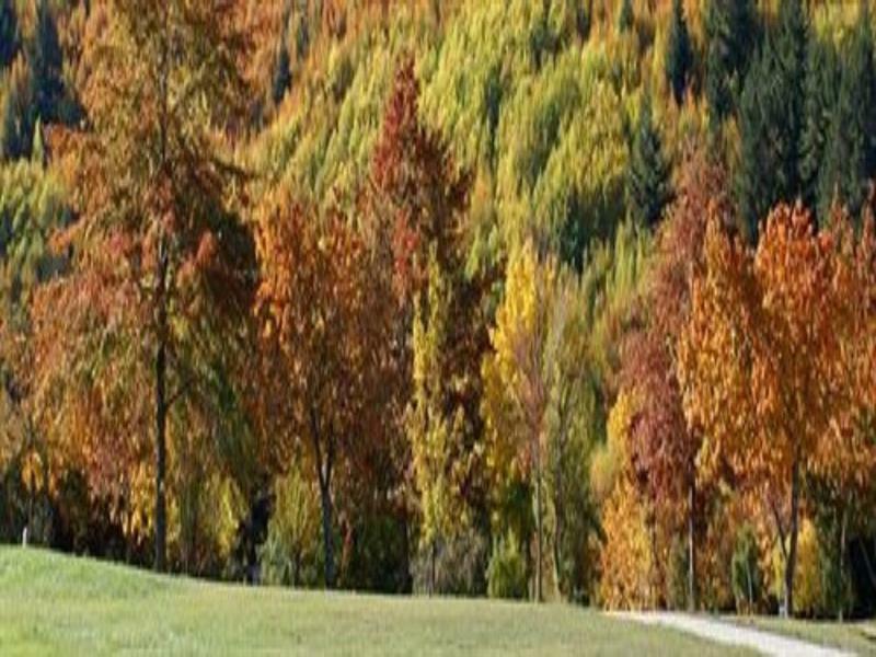 Hampshire Holiday Parks - Arrowtown Buitenkant foto